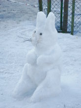 Snow bunny